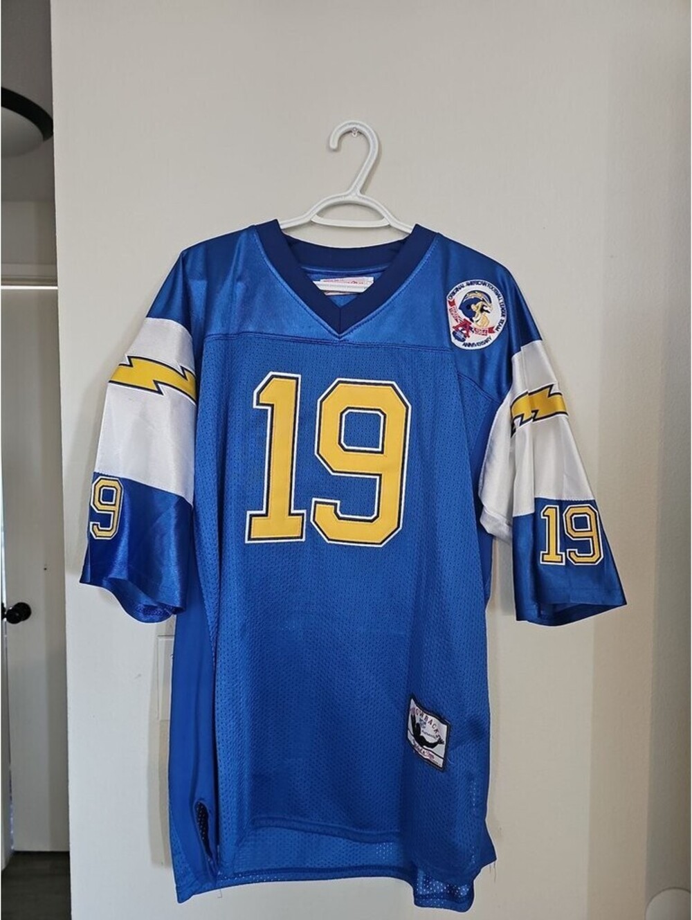 Mitchell & Ness Alworth 19 Throwback Jersey